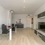 Luxury Pinada